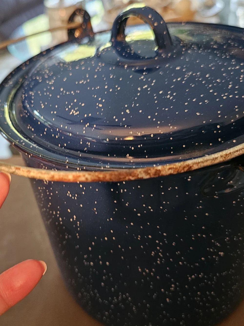 Ozark Trail Blue Enamel Cooking Pot with Lid - 3 1/2 qt